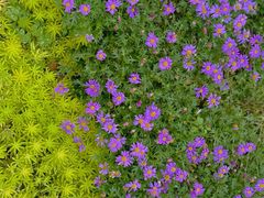 -仙海旅游度假区