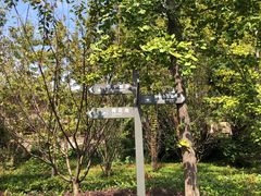-黄陂区野村谷景区