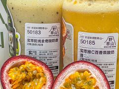 -野萃山·潮汕厚果汁(十亩地店)
