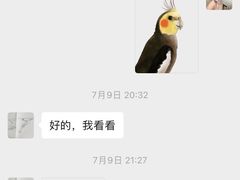 -八哥美术·成人美术画室(总校区)