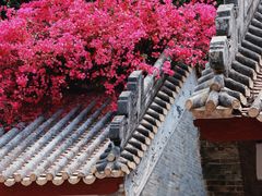 -南沙天后宫景区