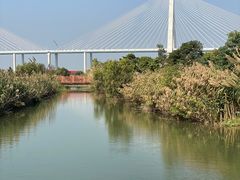 -芒洲湿地公园