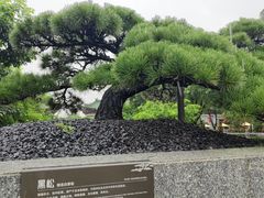 -顺峰山公园