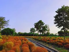 -歌斐颂巧克力小镇