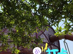 -枫香湖儿童公园