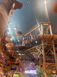 -卡通尼·Safari非洲探索乐园·生日会(金桥国际商业广场店)