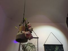 -花木兰·咖啡·茶铺