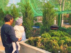-五龙山野生动物王国