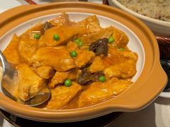 羊肚菌焖河源豆腐-大鸽饭(岗顶店)