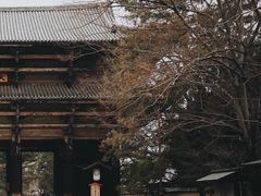 -奈良公园