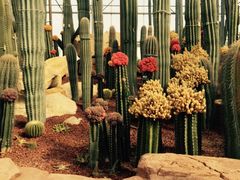 -南通洲际绿博园