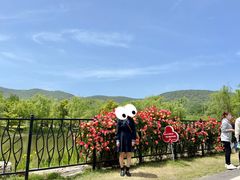 -习家池