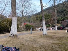 -桃花岭景区