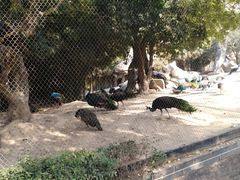 -南昌动物园