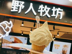 -野人先生现做冰淇淋(西安赛格店)