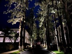 -西昌邛海宾馆