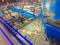 -鲜得莱渔港·小平岛海胆馆(七贤岭店)