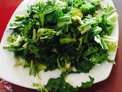 苦菊-溢心园香河肉饼总店