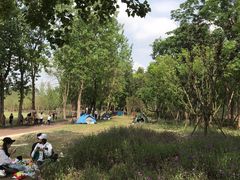 -白鹭湾湿地公园