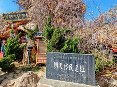 -大槐树寻根祭祖园