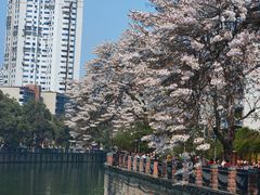 -红星桥(地铁站)