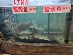 -楚鱼王·河鲜·湖北菜(华农店)
