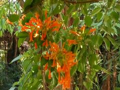 -广东茂名森林公园