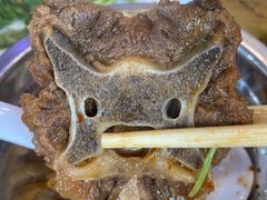-杨氏青龙虾·羊蝎子(托乐嘉店)