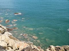 -广东惠东海龟国家级自然保护区