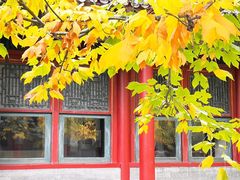 -颐和园