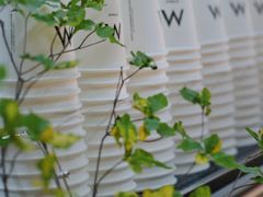 -M Stand(BFC外滩金融中心店)