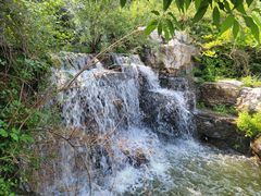 -北京西山国家森林公园