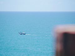 -广东惠东海龟国家级自然保护区