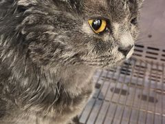 -喵汪宠物生活馆(涞坊路店)