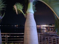 -鹏城人家海鲜酒家·23年老字号(较场尾店)
