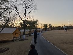 -九科绿洲