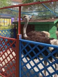 -萌宠亲子动物乐园(槐房万达店)