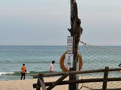 -西涌国际滨海旅游区