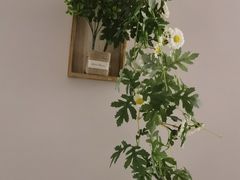 -邈墨茶馆(凤起路店)