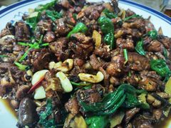 -食鸡公社辣子鸡·潍坊菜·烧烤