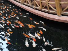 -侠成水上农庄(工业大道店)