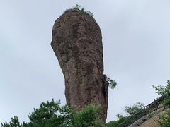 -磬锤峰森林公园