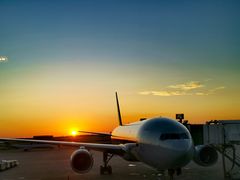 -达拉斯 沃斯堡国际机场