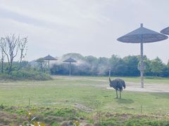 景点-宁波野生动物园