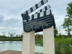 -杭州湾海上花田景区