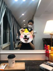 -YESIDO椰岛造型烫发染发