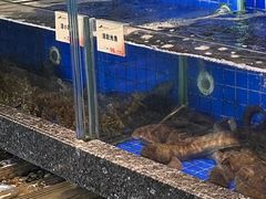 -船歌·鱼水饺青岛菜(闽江二路店)