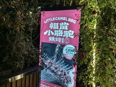 -福苗小骆驼烧烤(莲湖路店)