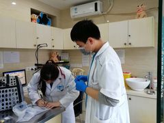 -瑞派天使宠物医院·神经外科·骨科·核磁(洛川中路店)