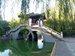 -团结湖公园
